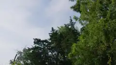 Полиция Чикаго 9 сезон 3 серия